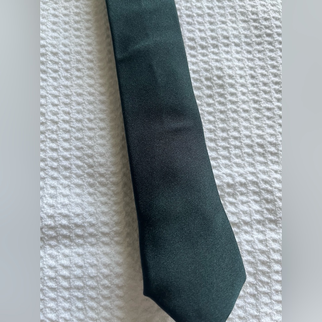 Silk Tie Skinny Tie 100 Silk
